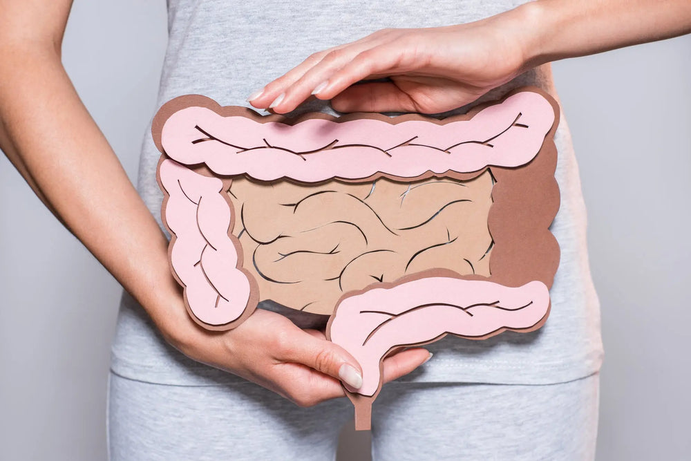 Permeabilidad-Intestinal Blossome