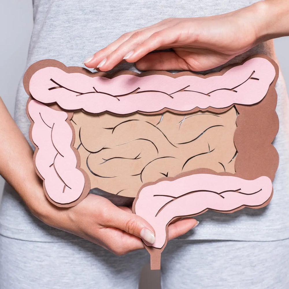 Permeabilidad-Intestinal Blossome