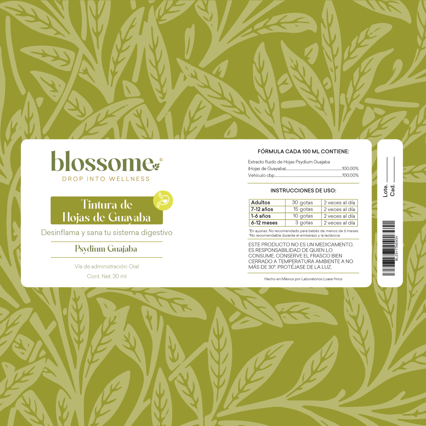 
                  
                    Kit Helicobater Pilory Blossome
                  
                