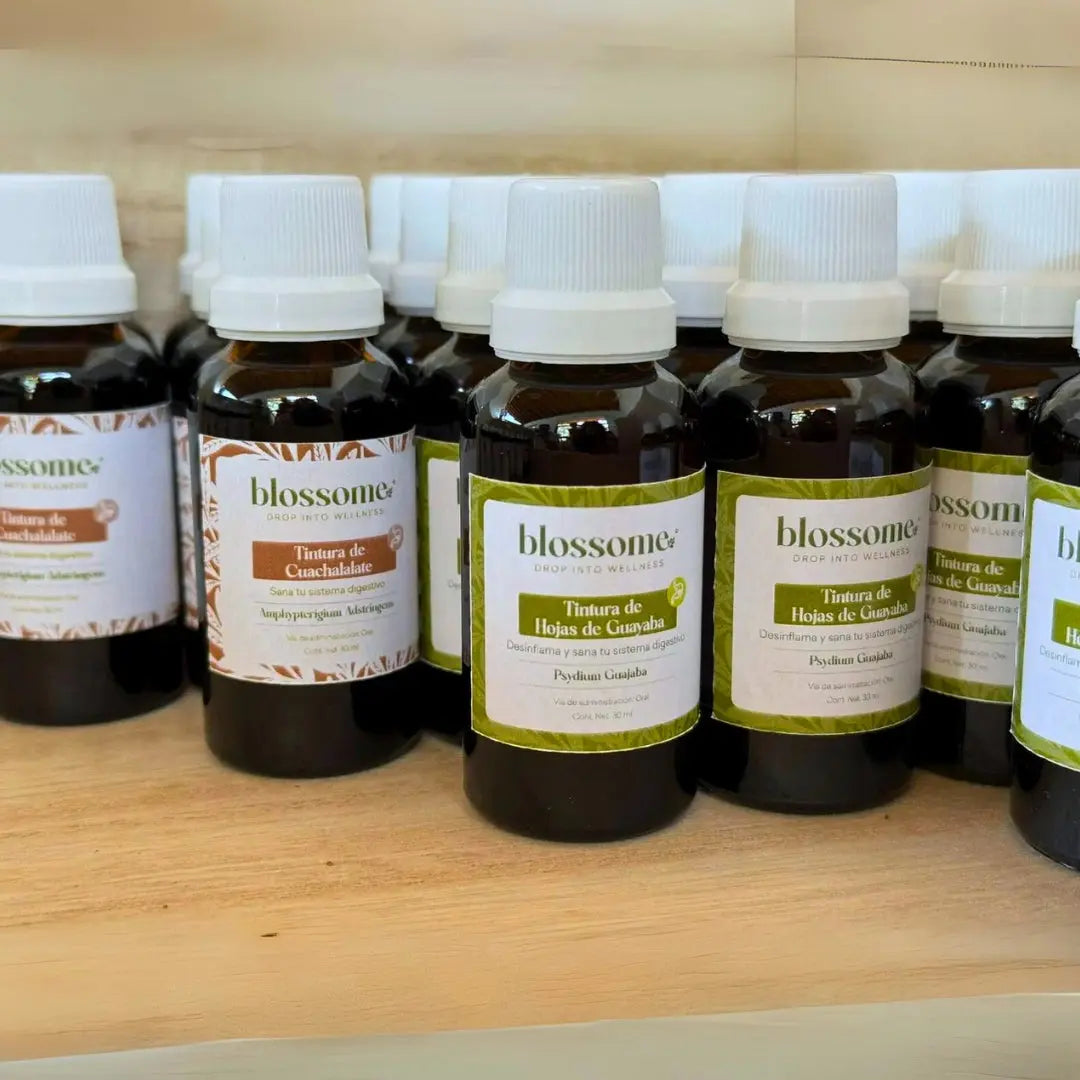 
                  
                    Kit de 6 Tinturas de Plantas Medicinales Blossome
                  
                