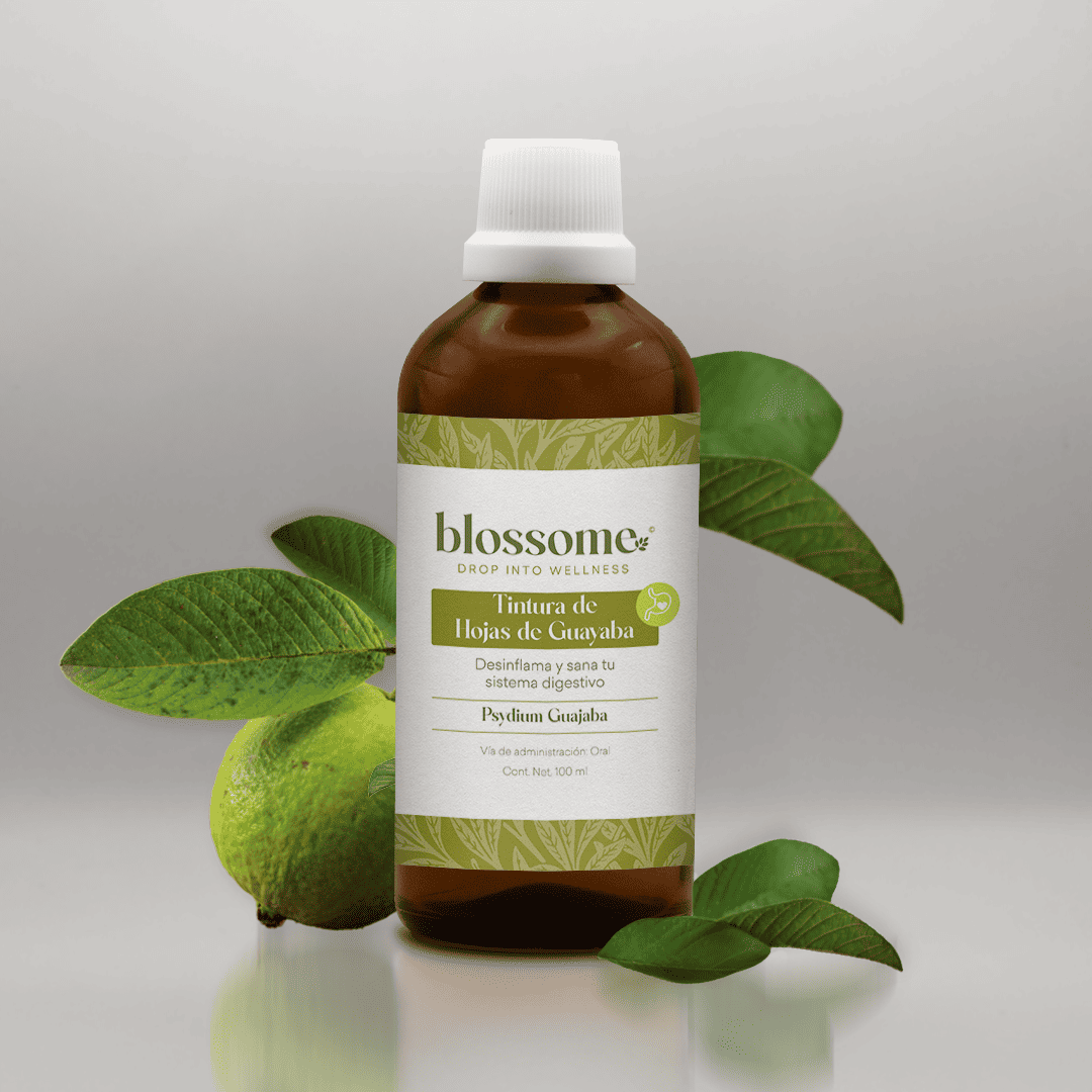 
                  
                    Kit Helicobater Pilory Blossome
                  
                