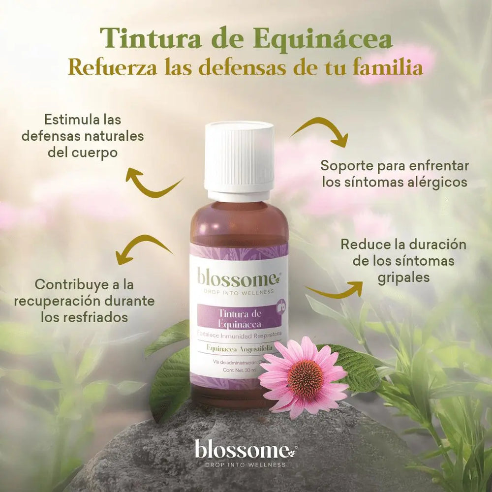 
                  
                    Tintura de Equinácea Blossome
                  
                