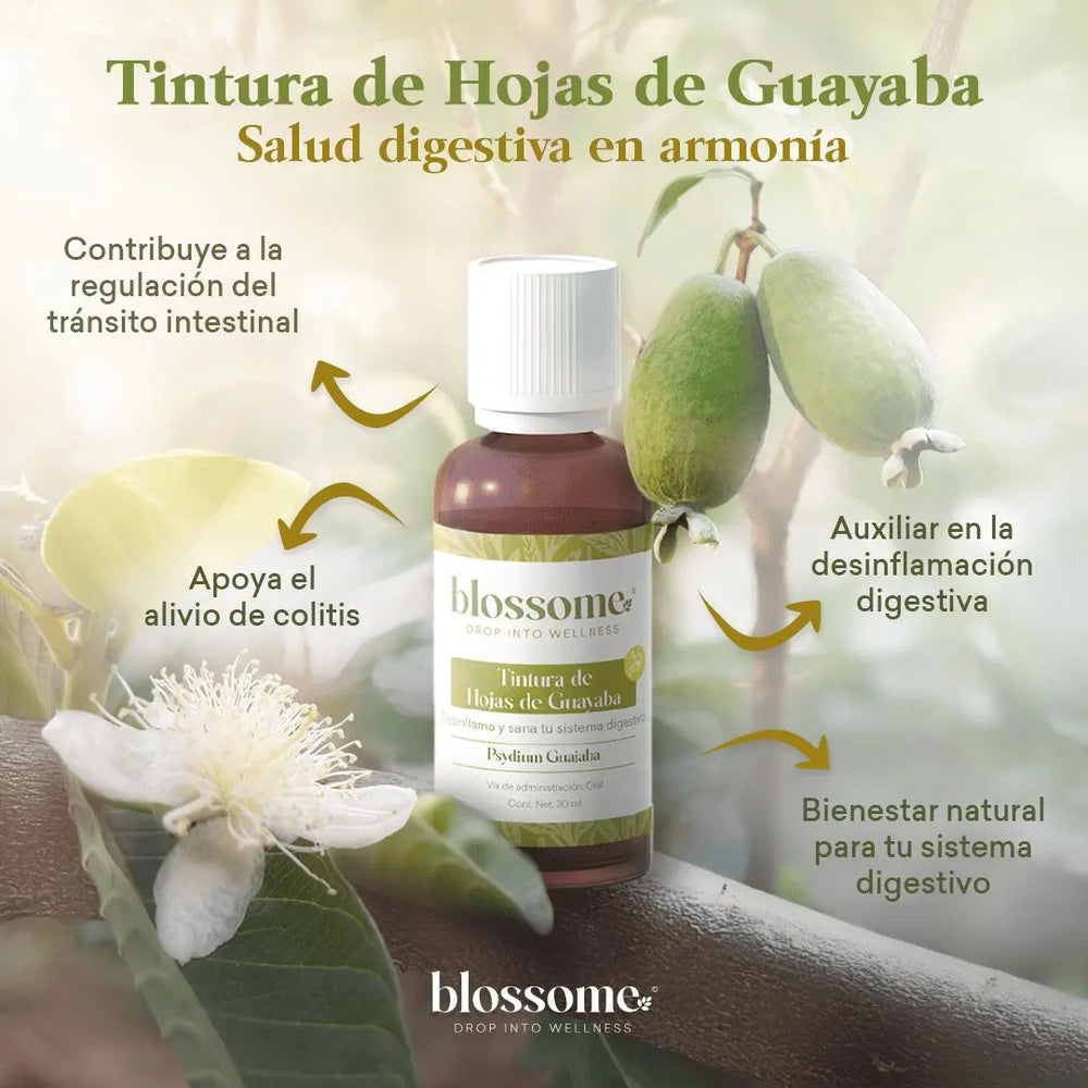 
                  
                    Tintura de Hojas de Guayaba Blossome
                  
                